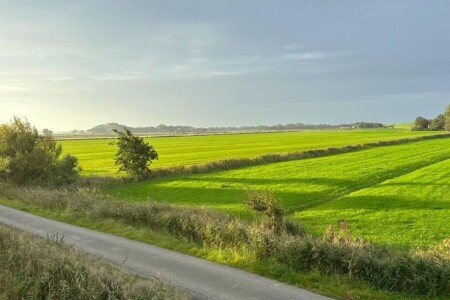Foto 2 Ferienhaus Ostfriesland Butjadingen Haus Wera (Objekt 80719) buchen