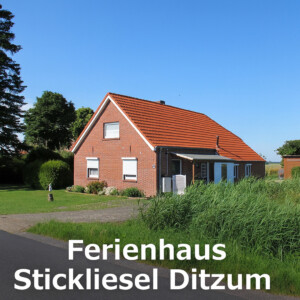 Ferienhaus STICKLIESEL (DITZ125) am DOLLART (Emsmündung) Nähe  Emden (Fähre)