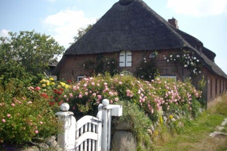Foto 5 Ferienwohnung Ostfriesland Nordfriesland Apartment im Friesenhaus Dikhü (Objekt 87035) buchen