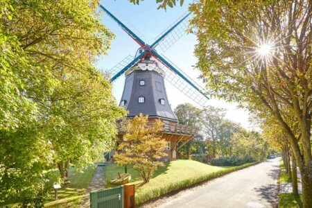 Foto 1 Ferienhaus Ostfriesland Föhr Venti Amica (Objekt 90261) buchen