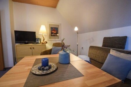 Foto 1 Ferienwohnung Ostfriesland Baltrum Strandvilla Baltrum, Nr. 4 (Objekt 87969) buchen