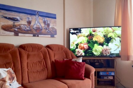 Foto 5 Ferienwohnung Ostfriesland Dithmarschen Ferienhaus Stapel (Objekt 97610) buchen