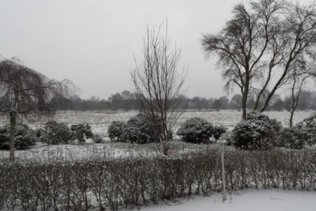 Foto 4 Ferienwohnung Ostfriesland Friesland Ferienwohnung Große Emma (Objekt 98799) buchen