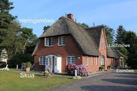 Foto 1 Ferienwohnung Ostfriesland Amrum Lachmöwe (Objekt 93217) buchen