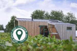 Green Tiny Spot Schillig –  House Connect 7