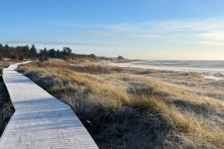 Foto 1 Ferienhaus Ostfriesland Föhr Freistehendes Friesenhaus in Nieblum zur Alleinnutzung (Objekt 97959) buchen