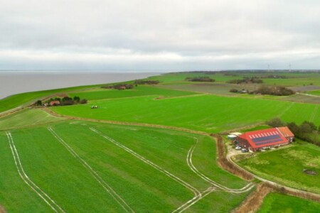 Foto 3 Ferienwohnung Ostfriesland Neuharlingersiel & Umgebung Sömmerland, Exklusive 4-Sterne-FeWo von 2024, Sonnenterrasse, 150 m zur Nordsee, eigener Zugang (Objekt 95666) buchen