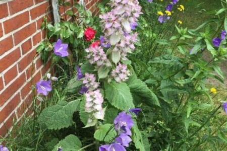 Foto 4 Ferienwohnung Ostfriesland Nordfriesland Erholungszeit St. Peter-Ording (Objekt 95870) buchen