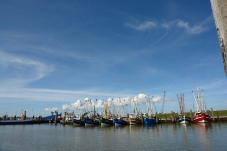Foto 4 Ferienhaus Ostfriesland Norddeich & Umgebung Kutterstraße Nordseeharmonie II (Objekt 98811) buchen