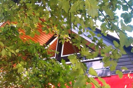 Foto 5 Ferienwohnung Ostfriesland Nordfriesland Ferienwohnung Bövergeest Fam. Weisenberger (Objekt 100075) buchen