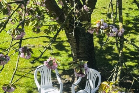 Foto 2 Ferienwohnung Ostfriesland Wilhelmshaven Fewo 219 Nordsee- im Herzen von Voslapp (Objekt 100105) buchen