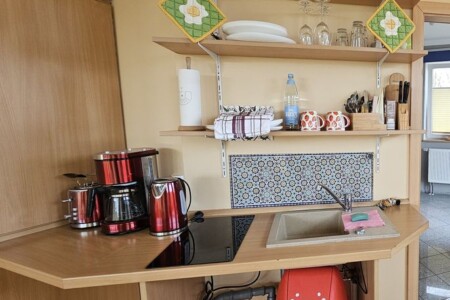 Foto 3 Ferienwohnung Ostfriesland Zwischen Elbe und Weser Fewo Wischhafen am Hollerdeich (Objekt 100371) buchen