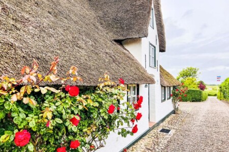 Foto 4 Ferienhaus Ostfriesland Föhr Haus Wattwurm (Objekt 87044) buchen