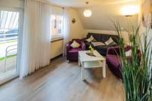 Ferienhaus Schipper Strandflieder