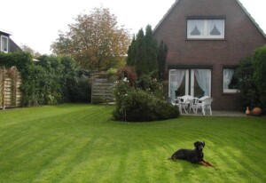 Haus Strandkrabbe