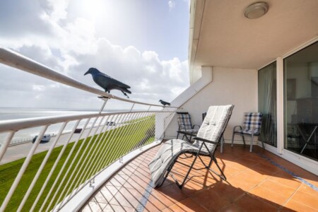 Foto 3 Ferienwohnung Ostfriesland Wilhelmshaven Exklusive Ferienwohnung am Südstrand mit Panoramabalkon & Meerblick | Wohnung 92 (Objekt 61390) buchen