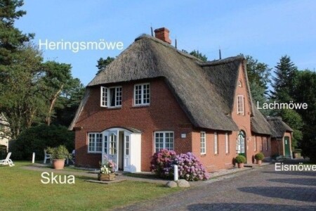 Foto 3 Ferienwohnung Ostfriesland Amrum Lachmöwe (Objekt 103385) buchen