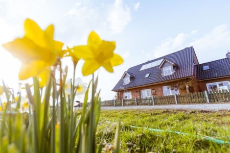 Foto 1 Ferienwohnung Ostfriesland Nordfriesland Hof Wiesengrund (Objekt 94779) buchen