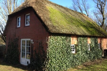 Foto 2 Ferienhaus Ostfriesland Nordfriesland Lütte Hus (Objekt 99169) buchen
