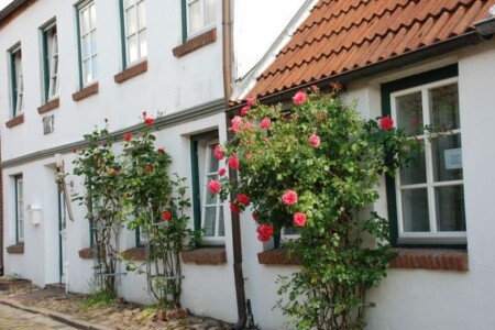 Foto 5 Ferienwohnung Ostfriesland Nordfriesland Ferienhaus Altstadtidyll (Objekt 98540) buchen