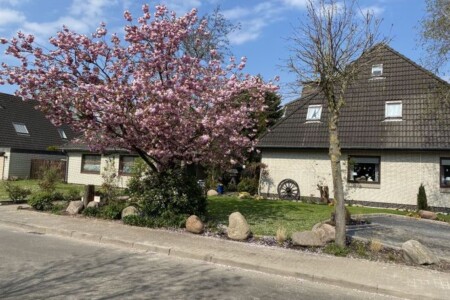 Foto 4 Ferienwohnung Ostfriesland Dithmarschen Haus Landberg (Objekt 97591) buchen