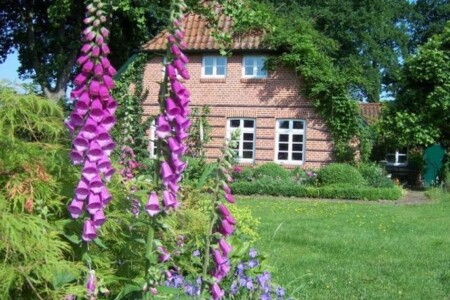 Foto 3 Ferienwohnung Ostfriesland Oldenburg & Umgebung "Haus am Kienmoor" (Objekt 111171) buchen